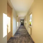 Paernu Villa Harmony Guest house