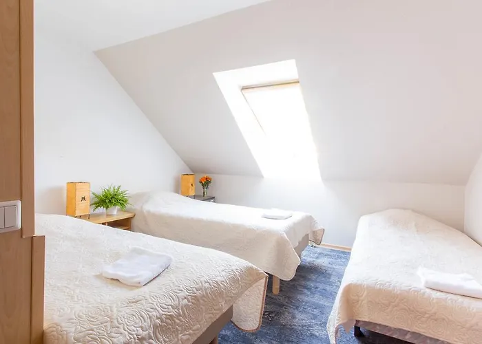 Paernu Villa Harmony Guest house 3*